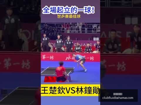 大连澄清万,达退出谣言,股权改革方,星空体育官网下载,星空体育下载,星空体育直播,星空体育平台,星空体育入口