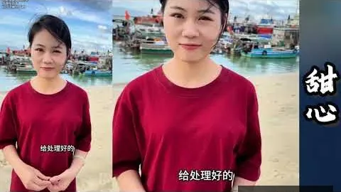 申花新加盟外援实力出众，价格亲民引关注